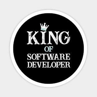 programming software Developer Magnet